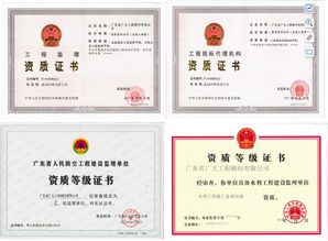 男儿当自强 潘康恒以自力更生之志，在政府采购代理服务中开创自主创业新篇章